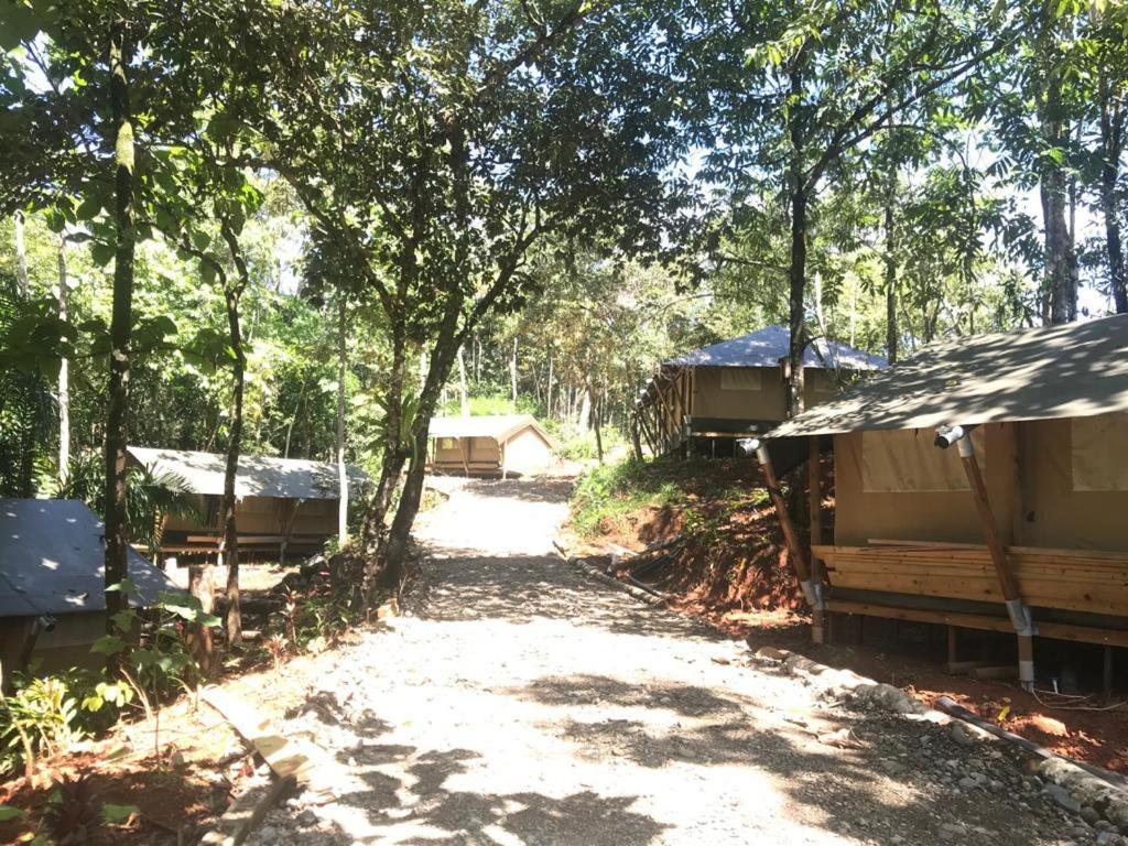 אוחוצ'אל El Pulpo Safari Lodge מראה חיצוני תמונה