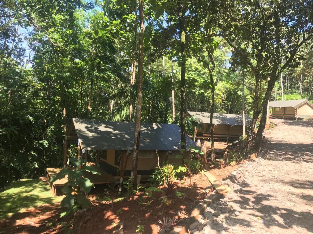 אוחוצ'אל El Pulpo Safari Lodge מראה חיצוני תמונה