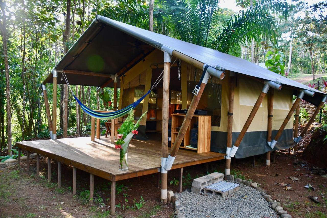 אוחוצ'אל El Pulpo Safari Lodge מראה חיצוני תמונה