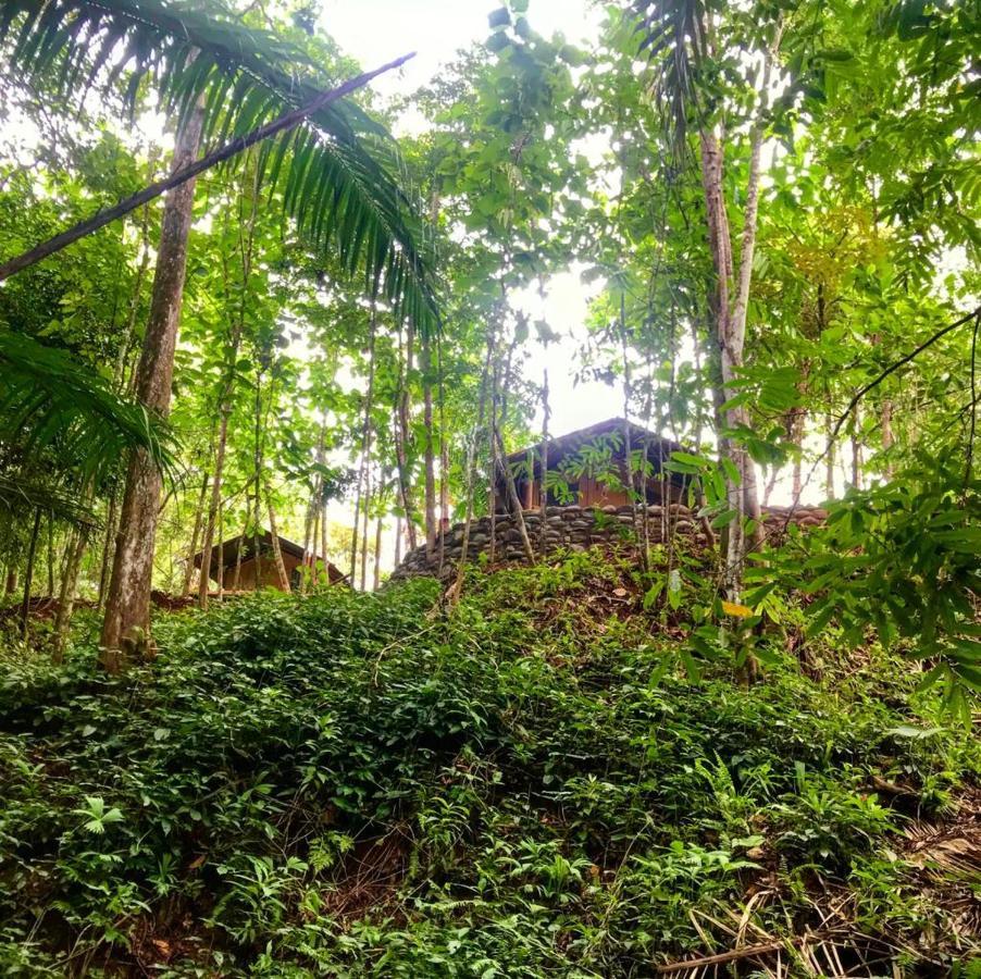אוחוצ'אל El Pulpo Safari Lodge מראה חיצוני תמונה