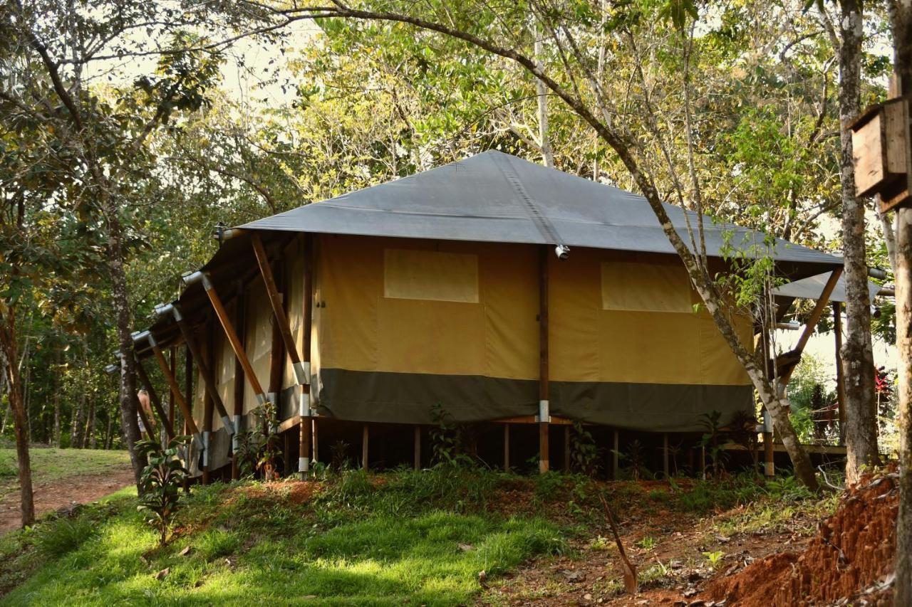 אוחוצ'אל El Pulpo Safari Lodge מראה חיצוני תמונה