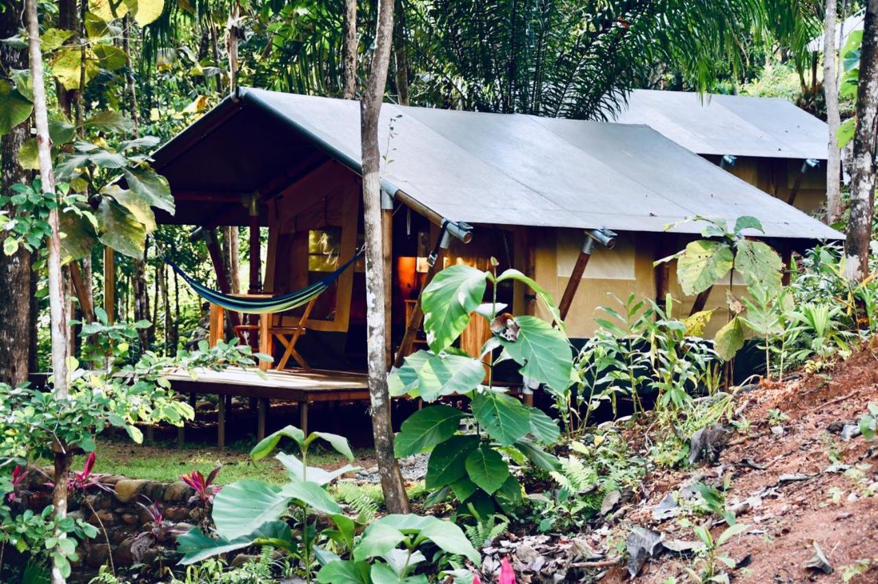 אוחוצ'אל El Pulpo Safari Lodge מראה חיצוני תמונה