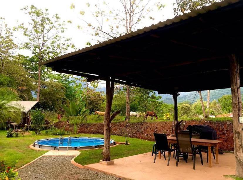 אוחוצ'אל El Pulpo Safari Lodge מראה חיצוני תמונה
